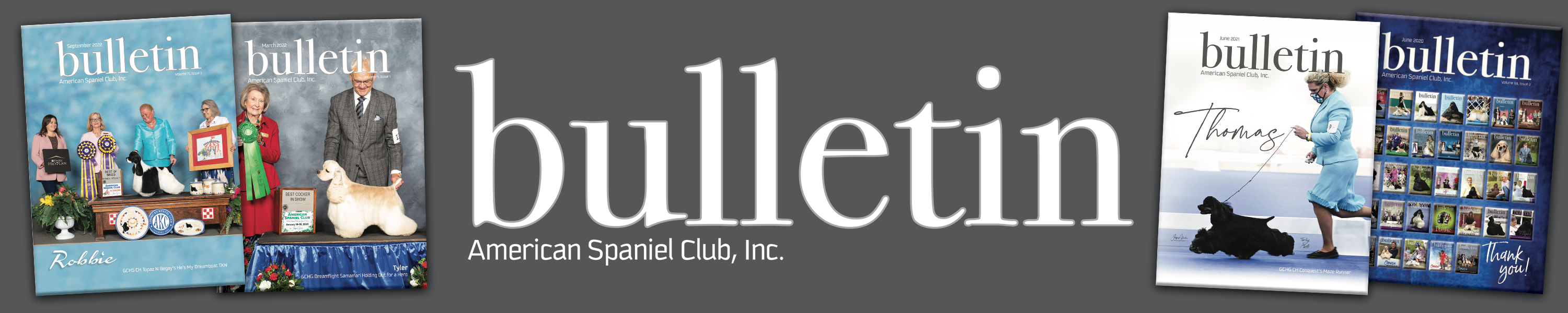 ASC Bulletin American Spaniel Club